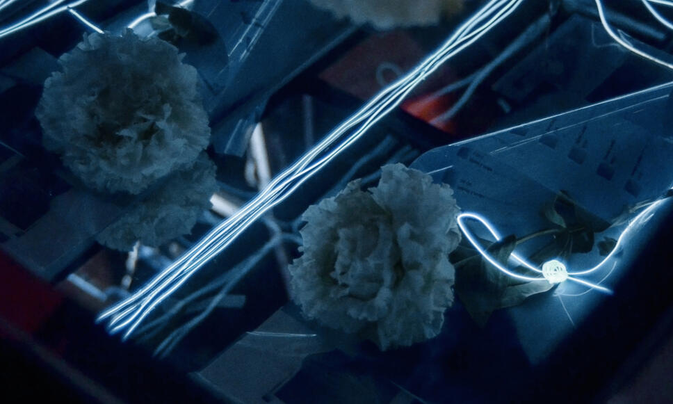 網膜の葬礼 funeral for the retina (mixed media, 2017)