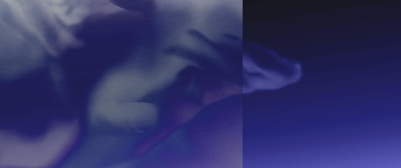 melt (2016)