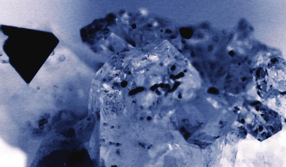 virustallized (2016)