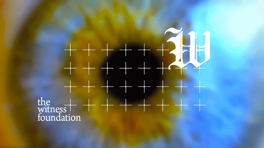 TheWitnessFoundation (video, text, 2019-wip)